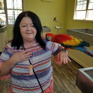 Meet your Posher, Connie